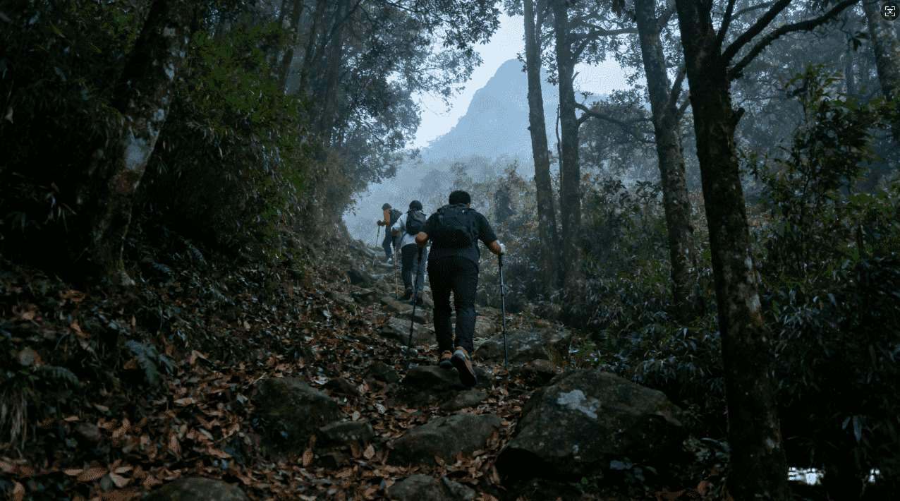 全面解析旋风雷霆黑洞加速器的性能表现及核心优势分析